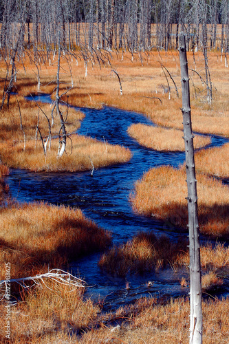 Yellowstone National Park