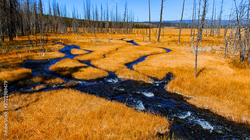 Yellowstone National Park