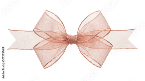 Fotografía Elegant rose gold sheer organza ribbon bow element