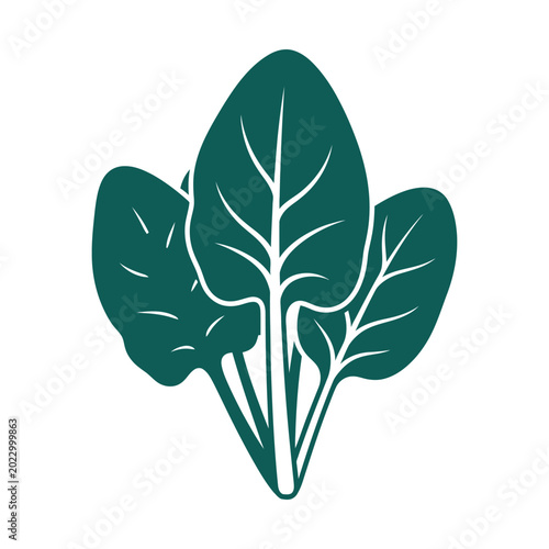 Fresh spinach leaves vector icon, green leafy vegetable bunch, organic spinach plant for healthy food logo