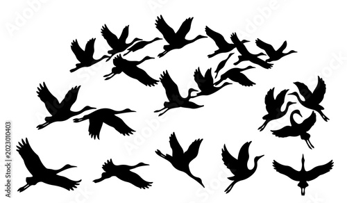Foto Silhouettes of migratory birds flying in flock vector illustration isolated on w