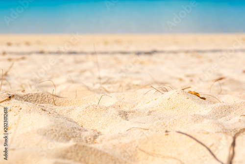 Bild auf Leinwand Tropical Nature sand sea and summer sea water with beautiful bright sunlight