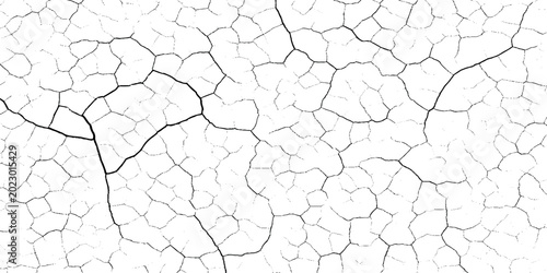 Schilderij op canvas Cracked earth texture with black lines on white grunge  background, Dry soil pat