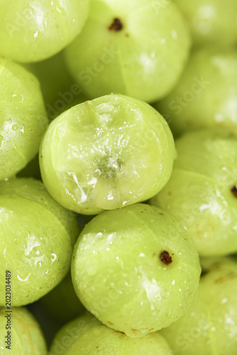 Foto Fresh Green Guava Fruits with Water Droplets - Sweet Wild Tropical Produce with