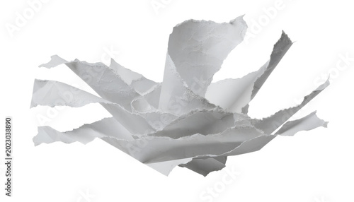 Abstract White Paper Crystal Formation Isolated on White Background