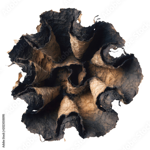 Abstract Dark Organic Texture Artistic Isolated Element