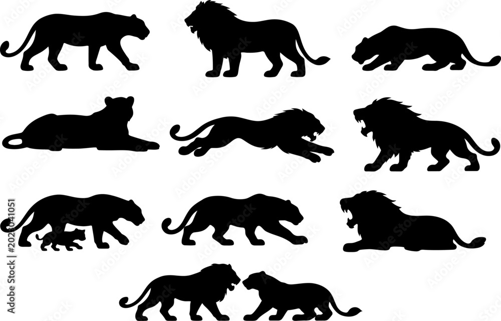Obraz premium Collection of lion silhouettes in various poses on white background 1 (47).eps