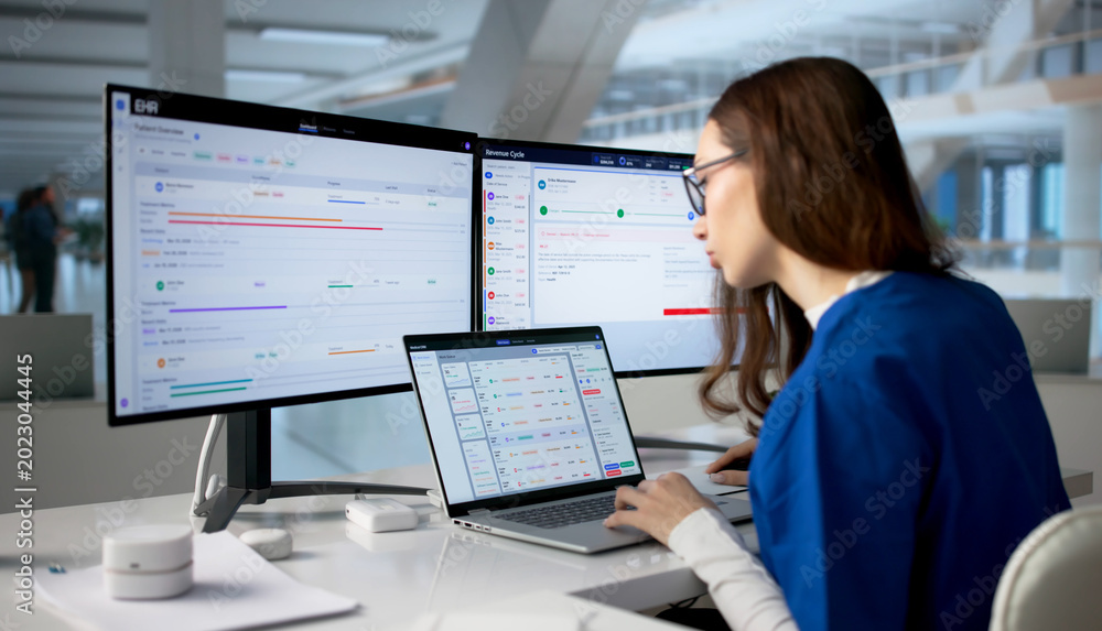 Fototapeta premium Healthcare Manager Using Hospital Software