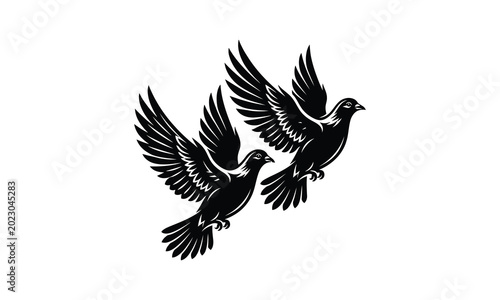 Obraz na płótnie Pair of peace dove, two doves silhouette, peace dove vector, dove pair illustrat