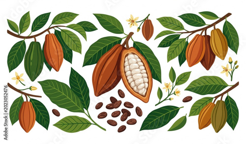 Canvastavla Elegant cacao pod illustration collection with cocoa beans for chocolate brandin