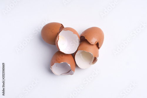 broken egg in a shell