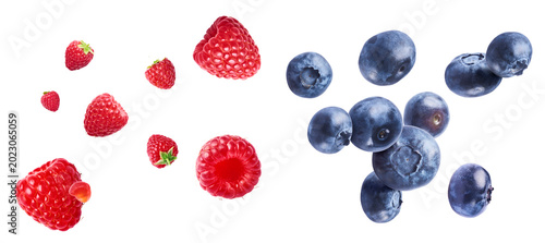 Set of fresh berries isolated on white background. Flying red raspberries  alongside macro blueberries falling in the air. Healthy raw organic summer food composition.