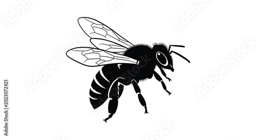 Tableau sur toile Bee illustration black and white silhouette high quality