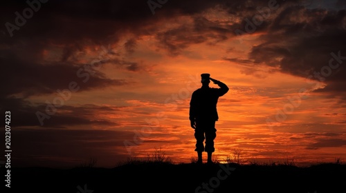 Silhouette of a soldier saluting against a dramatic fiery sunset sky