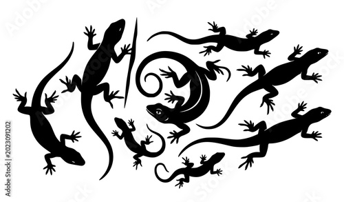 Foto Artistic lizard silhouettes cluster pattern