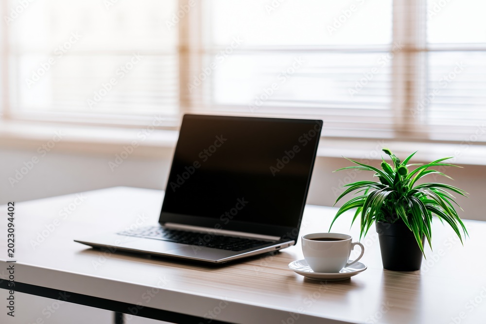 Fototapeta premium Clean laptop workspace with coffee and indoor plant