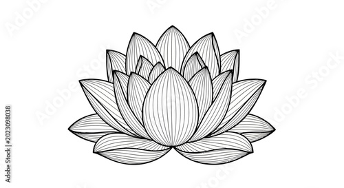 A detailed line drawing of a lotus flower.