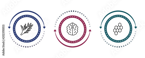 Φωτογραφία outline nature icons set - rosemary, human brian, hive