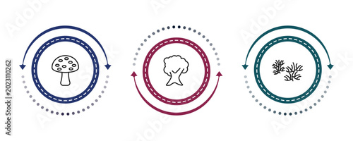 Fotografie outline nature icons set - amanita, butternut tree, escuamiforme