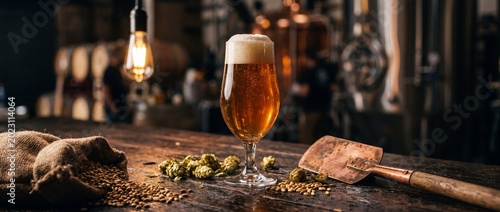 Glass of fresh craft beer with foam head on rustic wooden table in brewery with hops malt and vintage metal shovel equipment