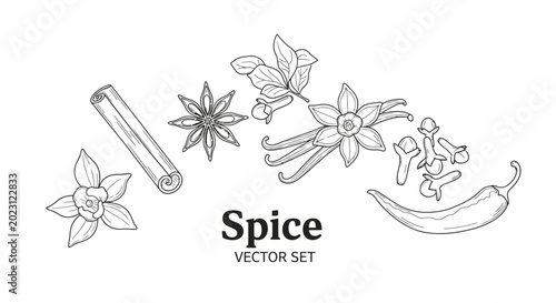 Cuadro en lienzo A set of various spice vector illustrations.