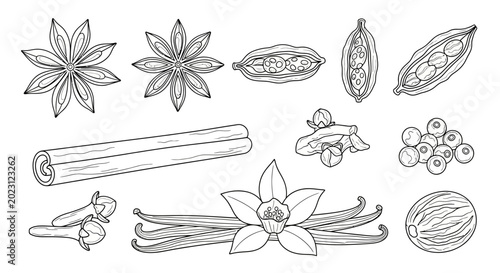 Bild auf Leinwand A collection of spice and herb illustrations.