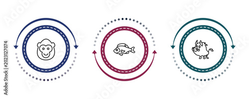 Photography outline animals icons set - ape, perch, boar