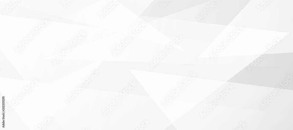 Obraz premium Abstract Geometric Background A Modern and Clean Design with Subtle White and Grey Triangles, Ideal for Professional Presentations, Websites, and Creative Projects