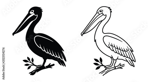 Bild auf Leinwand pelican on white background