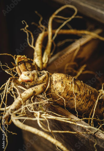 Canvastavla Fresh Ginseng Roots in Rustic Wooden Crate