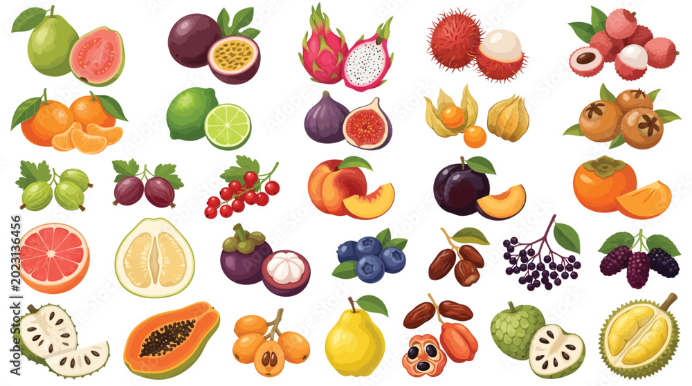 Obraz premium Tropical exotic fruit collection, 30 vector fruit icons set with dragon fruit and papaya,