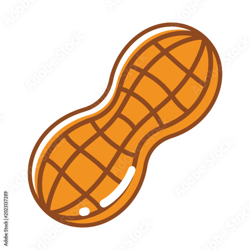 Peanut vector illustration, whole brown groundnut shell icon, organic legume snack graphic on white background