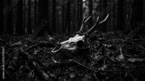 A deer skull with antlers lies on forest floor surrounded by leaves and branches in darkness.