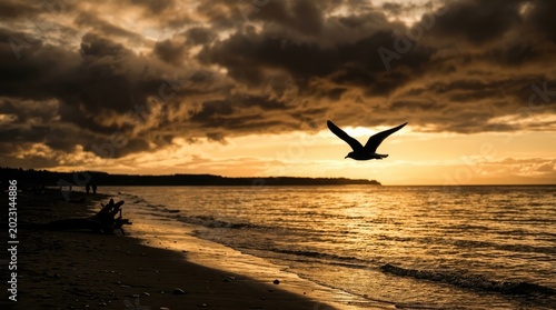 Seagull flies over serene ocean beach at sunset with dark clouds gathering