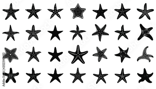Starfish silhouettes showcase a multitude of echinoderms in different shapes and arm configurations aligned in a structured grid layout on a clear white background for marine biological research.