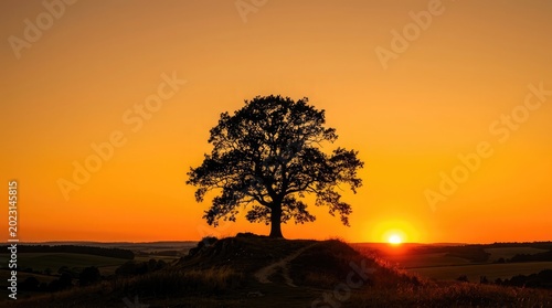 Sunset scene with a tree standing alone on a hill