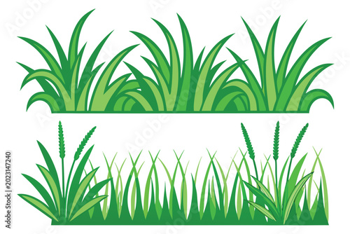 green grass on white background