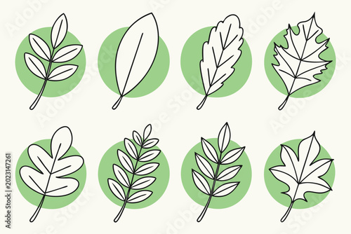 set of green leaves