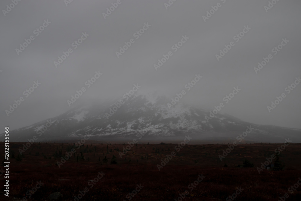 Fototapeta premium Fog covering Donnelly Dome in Alaska