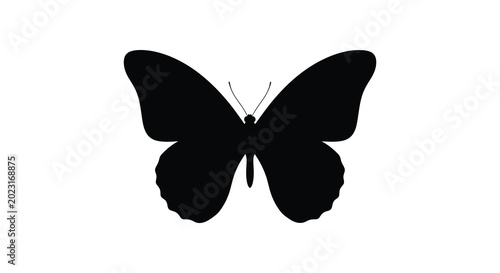 Foto Black butterfly silhouette on white background high quality