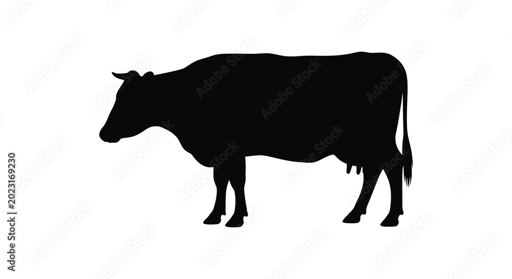 Obraz premium Cow silhouette against a white background silhouette