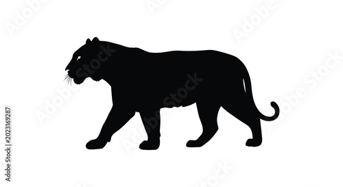 Photos Tiger silhouette against a white background silhouette