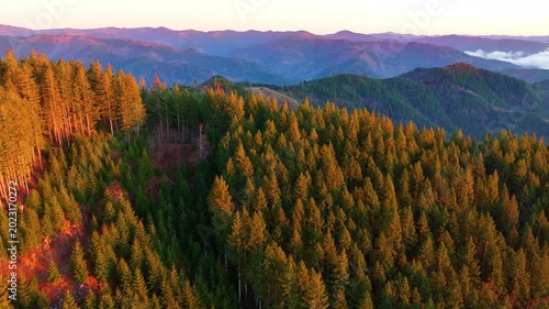 Evergreen Hills in Tillamook State Forest Oregon Drone Shot