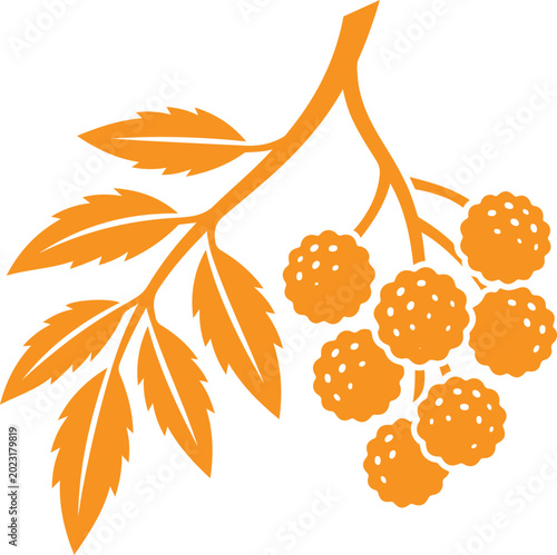 Orange silhouette of berry branch with leaves