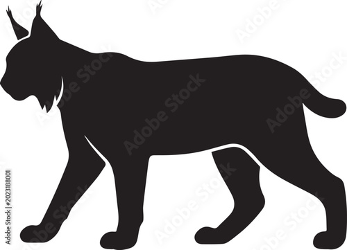 Photography Lynx side view black silhouette vector illustration walking wild cat bobcat pred