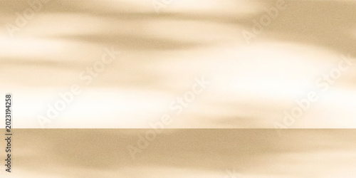 Foto Wall interior background, studio  and backdrops show products