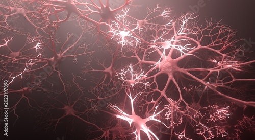 Canvastavla Glowing neurons (nerve cells) of nervous system in human brain