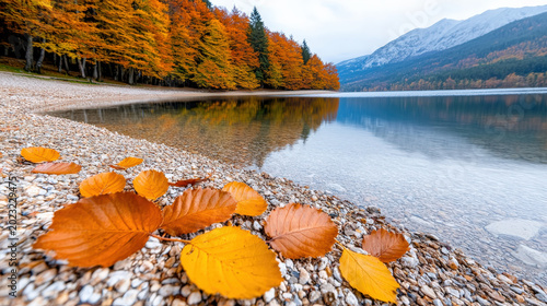 Autumn lake shoreline with orange leaf and calm mountain reflection
