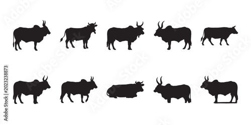 Livestock Guzerat cow silhouettes. Diverse set of tropical cattle figures highlighting unique humps and horns. Ideal for agricultural logos and farm animal illustrations.