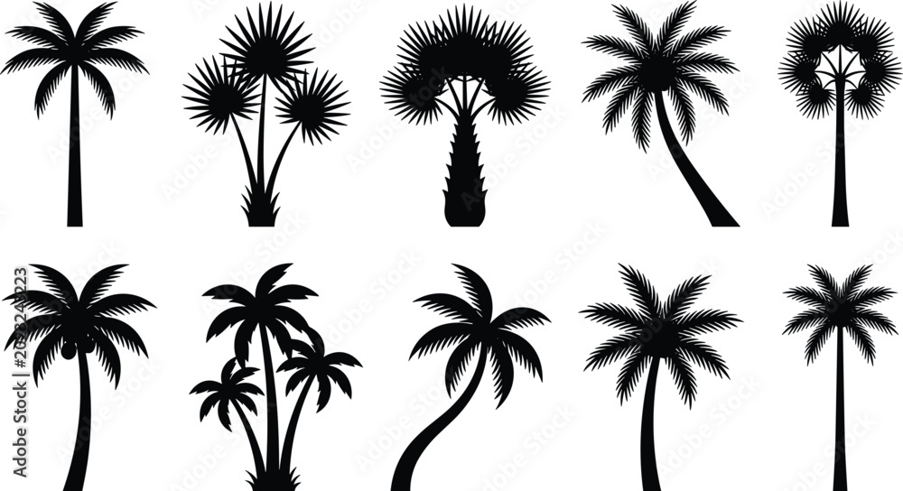 Obraz premium Diverse Collection of Tropical Palm Tree Silhouettes Including Fan Palms and Coconut Varieties Isolated on a White Background